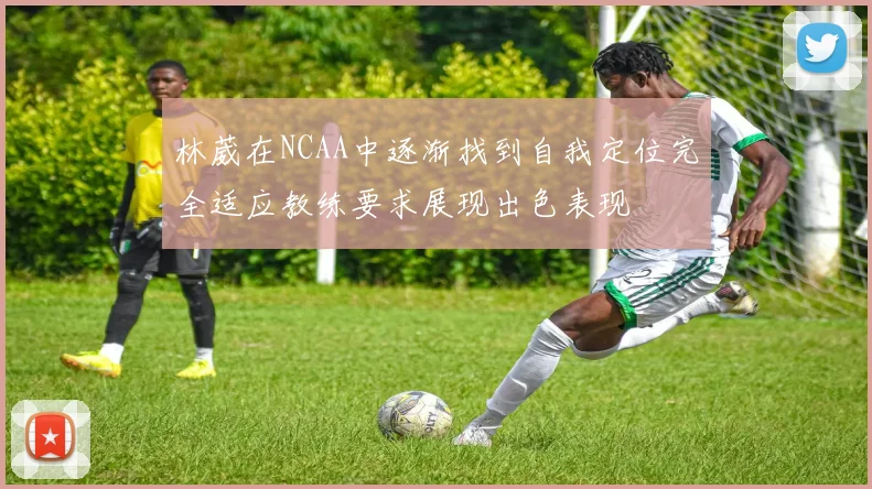 林葳在NCAA中逐渐找到自我定位完全适应教练要求展现出色表现